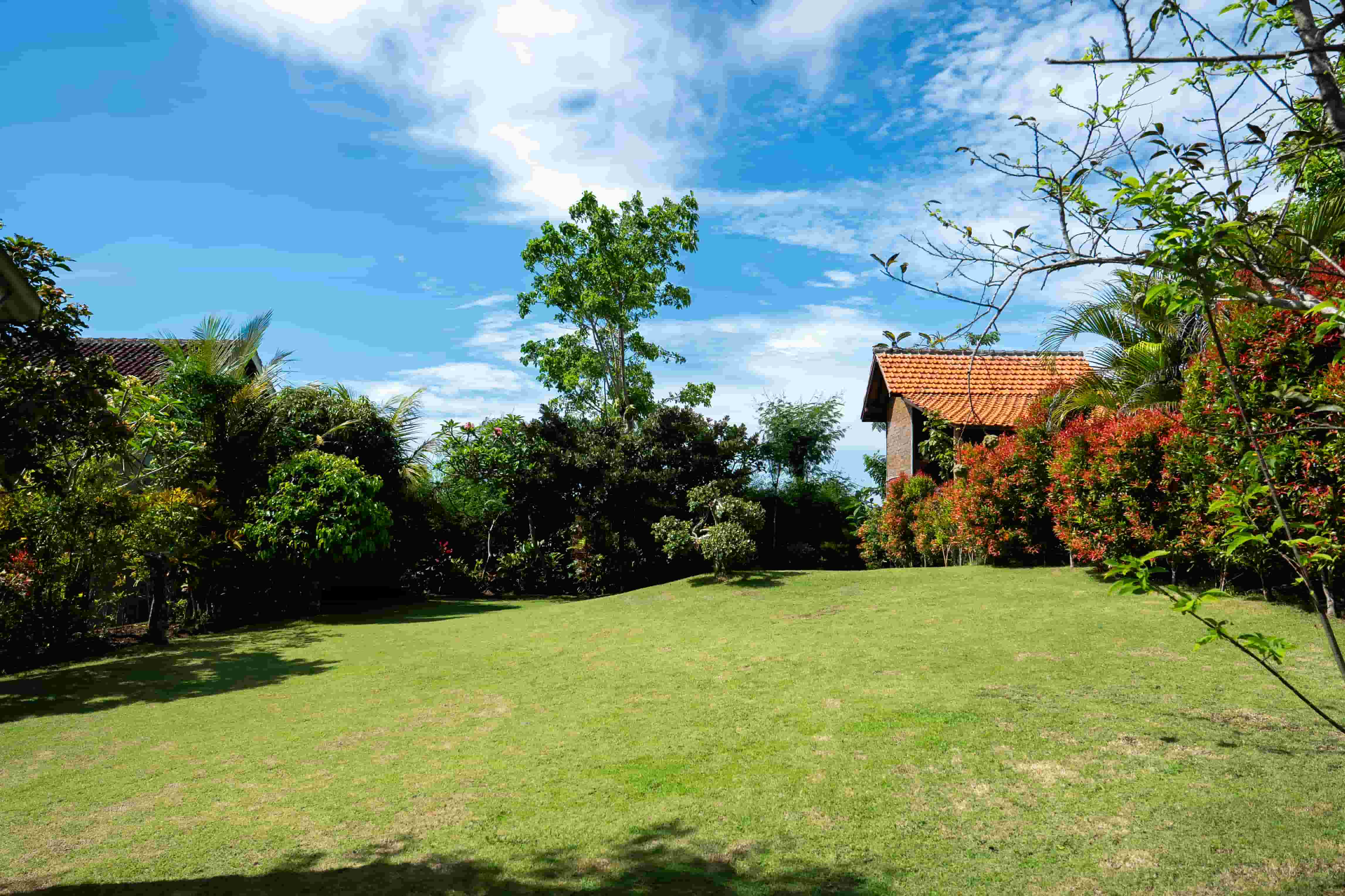Terrace view